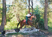 �L���_�����r�[�`���]�[�g�|�R