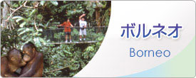 �{���l�I�@Borneo