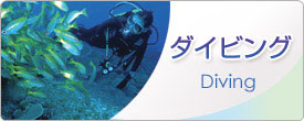 �_�C�r���O�@Diving